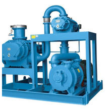 Roots-Liquid Ring Vacuum Pump Set